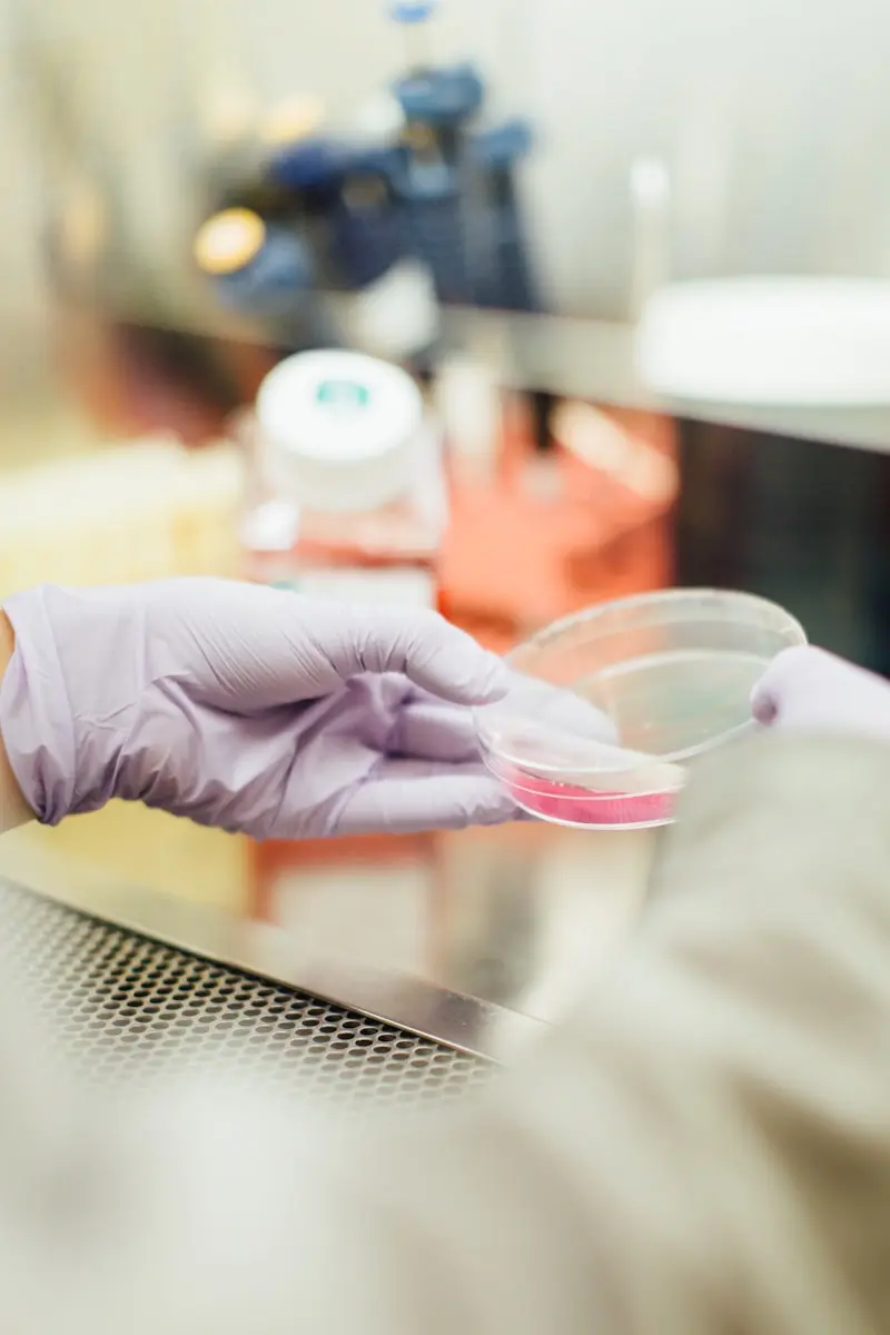Bezahlte Ausbildung zur Arztsekretärin: der komplette Leitfaden 2026 1 formation secrétaire médicale