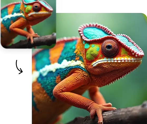 Bildqualität verbessern für starke Lernmedien