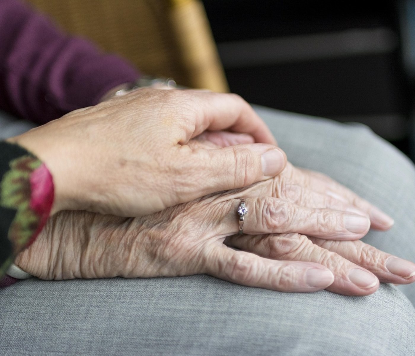 Ehrenamt für Senioren: 7 Wege, sich zu engagieren 1 Ehrenamt für Senioren: 7 Wege, sich zu engagieren